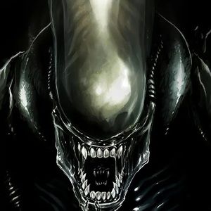 Meet your Posher, Shane